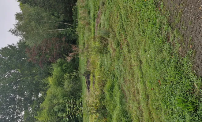 Création d'une carrière à cheval , Soissons, SANTOS Rénovation