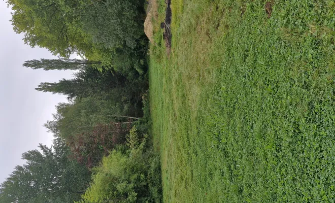 Création d'une carrière à cheval , Soissons, SANTOS Rénovation